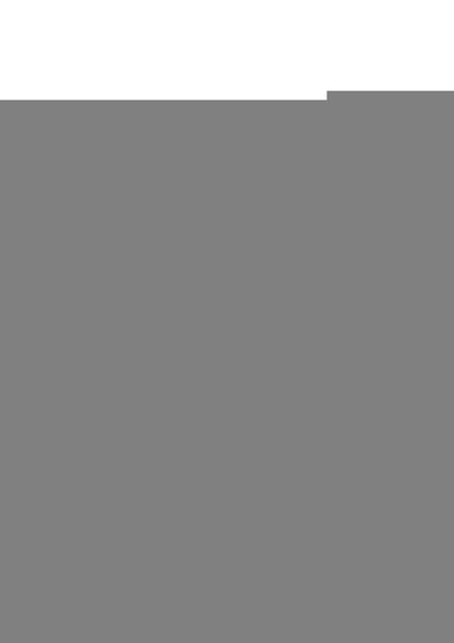 Cosmic Glams Silicone Anal Plug