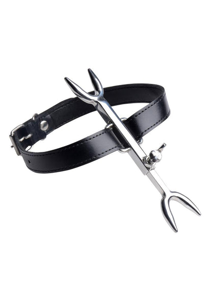 Master Series Heretics Fork Posture Collar - Black/Silver