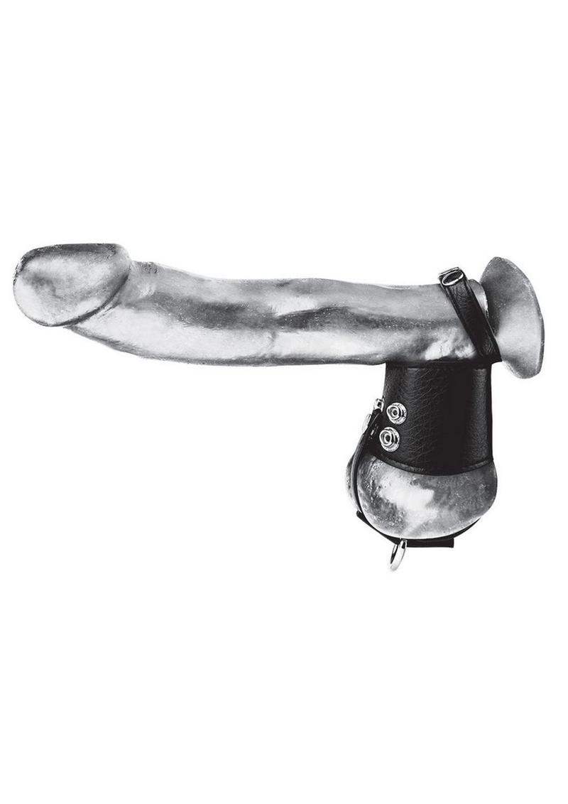 C and B Gear Cock Ring with Ball Stretcher and Optional Weight Ring