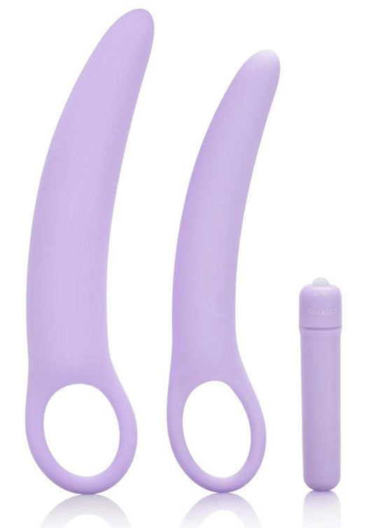 Dr. Laura Berman Isabelle Set Of 2 Vibrating Silicone Dilators - Lavender/Purple