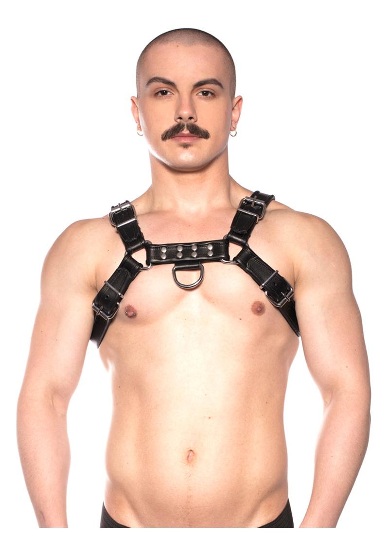 Prowler Red Bull Harness - Black - Medium