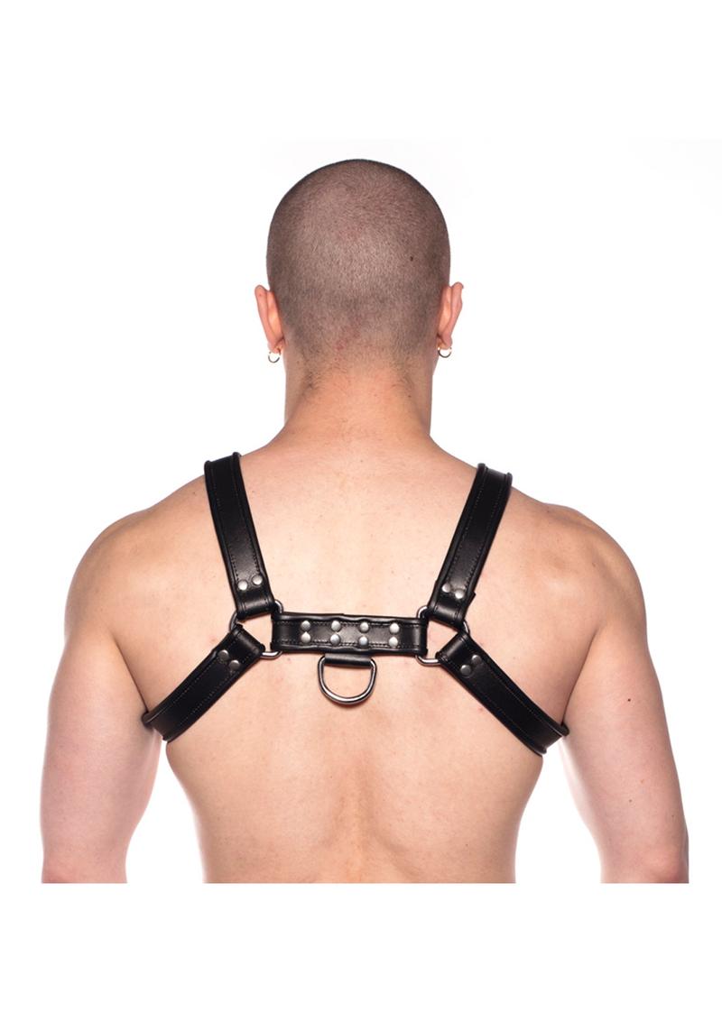 Prowler Red Bull Harness - Black - Medium