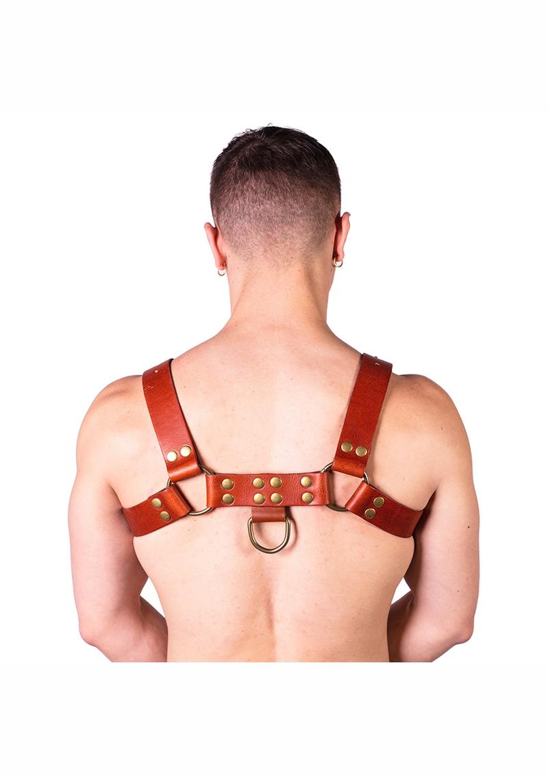 Prowler Red Butch Harness - Large - Brown/Brass - Brown - Large