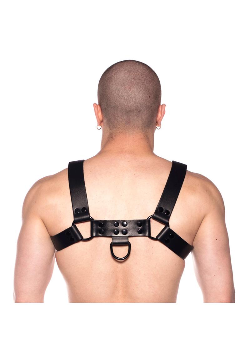 Prowler Red Noir Harness - Black - Large